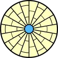 mit Anastomosen