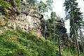 Felsmassiv im Osthang des Lampertsstein
