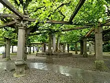 Lindenanlage