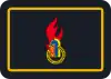 Landesjugendfeuerwehrwart/-in