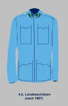 Bluse