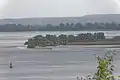Aussicht über die Elbe