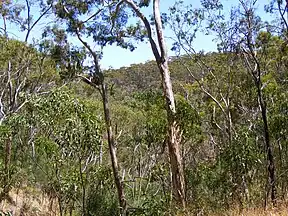 Landschaft im Belair-Nationalpark