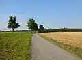 Landschaft bei Reichersberg
