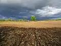 Acker am Weesrieser Weg