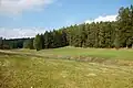 Wald