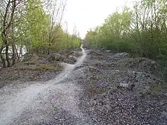 Landzunge zwischen Gänsedrecksee und See Binsfeld