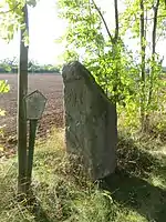 Der Menhir von Berga