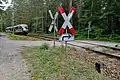 Triebwagen der Transdev Regio Ost, Linie RB 33, in der Laußnitzer Heide (Mai 2020)