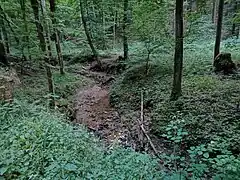 Bachlauf im Wald