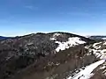 Storkenkopf von Ost-Südost