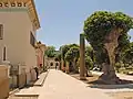 Römischer Meilenstein in Cherchell (Algerien)