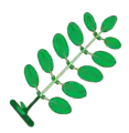 Gefiedertes Blatt mit Nebenblättern und Nebenblättchen