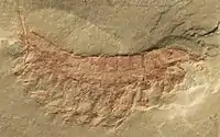 Fossilienfundstätte von Chengjiang