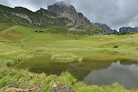Der Lech da Rijeda, Naturdenkmal.
