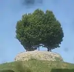 Bastion.