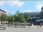 Der begrünte Teil der Ostseite 2012