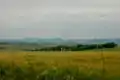 Panorama der Leiser Berge