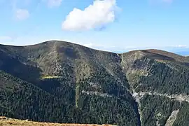 Blick vom Lärchkogel über den Talschluss des Kappelengrabens auf den Lenzmoarkogel, rechts das Türkentörl