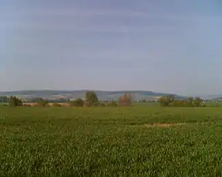 Nordostseite des Ellenser Waldes