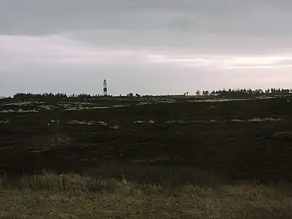 Blick aus der Braderuper Heide auf den Leuchtturm