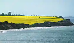 Blick zur Eckernförder Bucht.