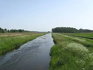 Die Rögnitz bei Leussow