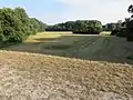 Deich, Feld, und Wald