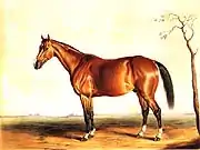 Lexington