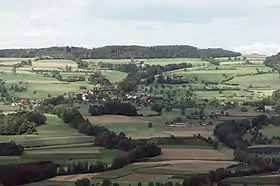 Lieli und Ruine Nünegg