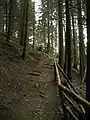 Oberer Lieserpfad