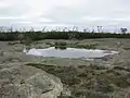Mallee-Büsche und Gras bewachsene Flächen im Frank-Hann-Nationalpark