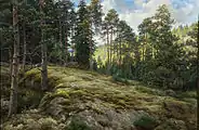 Nadelwald