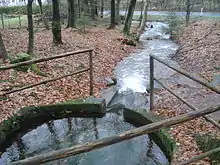 Linke Kahlquelle(Blick in Flussrichtung)