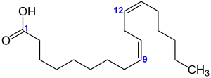 Struktur von Linolsäure