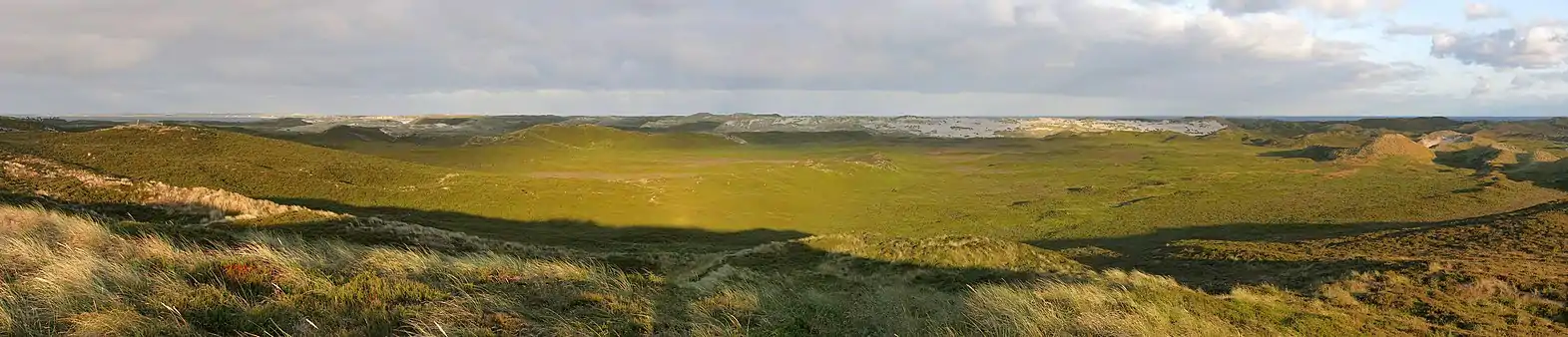 Naturschutzgebiet Nord-Sylt von der Aussichtsplattform am Jensmettenberg nordwestlich von List