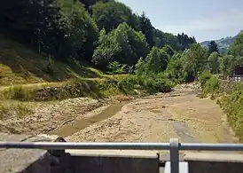 Schwemmgutsammler in Berneck von der Schlossbrücke gesehen