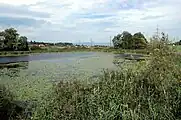 Lobsigensee – Sicht von Aussichtsplattform über See gegen Nordosten mit Aspi bei Seedorf im Hintergrund