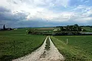 Lobsigensee – Feldweg von Unterdorfstrasse zum kleinen See