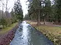 Einer der vielen kleineren und größeren Schwälle des Lochbachs