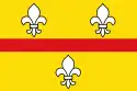 Flagge des Ortes Loenen