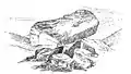 Rugglestone von Widecombe in the Moor, Dartmoor