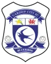 Logo des Cardiff City FC von 2008 bis 2012
