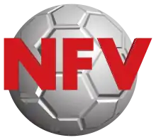 Logo NFV