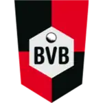SV BVB 49