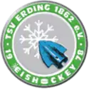 Erding Gladiators
