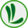 BRG Lan - Logo