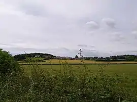 Blick auf Inchinnan
