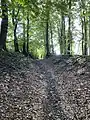 Alter Hohlweg nach Krebsöge