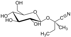 Struktur von Lotaustralin